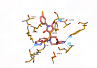 CBLb 8qtk 250801042508-2f599329