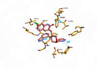 CBLb 8qtk 250801042715-30dc7720