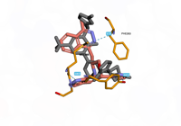 CBLb 8qtk 250801044224-9ae03fa1