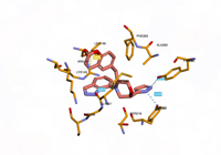 CBLb 8qtk 250801050727-67160bf4