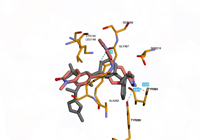 CBLb 8qtk 250801053241-af6d29bb