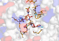 CBLb 8qtk 250803212214-ad0edd4a