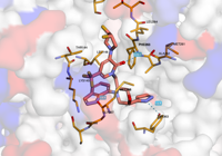 CBLb 8qtk 250803212220-84b555a1