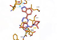 CKIT 8pq9 250809154254-d07e8bf0