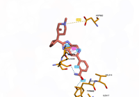 NLRP3 7alv 250815081942-6f3012fb