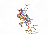 NLRP3 7alv 250815082035-ebfd1ec9