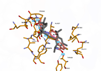 NLRP3 7alv 250824094201-60f289bd-9