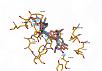 NLRP3 7alv 250824094454-f8062b66-9