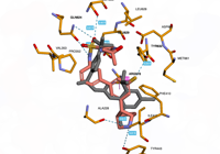 NLRP3 7alv 250824095137-83d79a39
