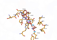 NLRP3 7alv 250824150836-487d84cf-4