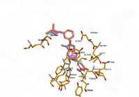 NLRP3 7alv 250824153715-f58cdc3f-8