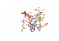 BTK 8fll 250815160837-66aed03b