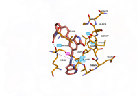 BTK 8fll 250815161140-c7d954d5