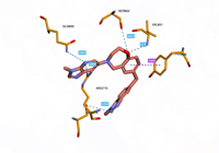 PI3Kalpha 8exu 250814101231-9ae26013