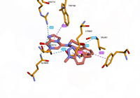 PI3Kalpha 8exu 250814111632-6f25627e