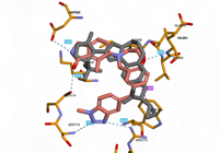 PI3Kalpha 8exu 250814111839-023017f7