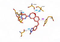 PI3Kalpha 8exu 250814112405-6afa3278
