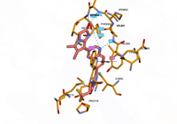 PI3Kalpha 8exu 250815144344-a748e096