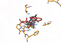 RBM39 6q0v 250830153542-ce045922