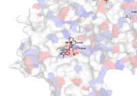 RBM39 6q0v 250830163101-407311a9