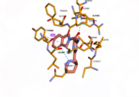 myosinmotor 9f6c 250913164752-a534bc11