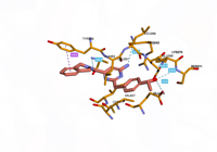 myosinmotor 9f6c 250913170429-6b025ccc