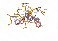 myosinmotor 9f6c 250913170609-5bd20d08