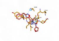 myosinmotor 9f6c 250913171132-300d9603