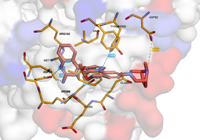 KRAS 8onv 250701165650-e87bb376-8